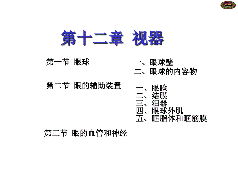 系统解剖学感觉器_第4页