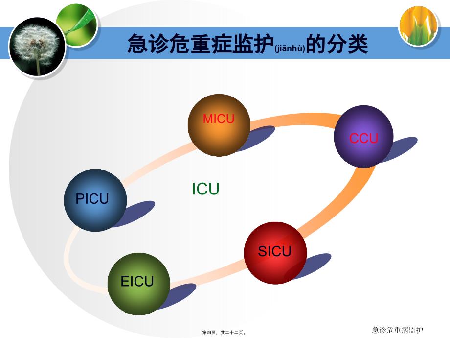 急诊危重病监护课件_第4页