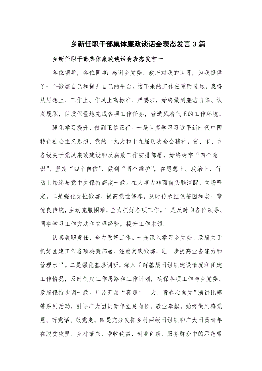 乡新任职干部集体廉政谈话会表态发言3篇_第1页