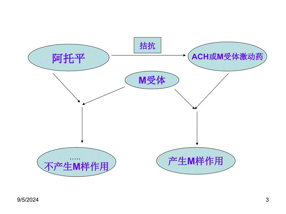 胆碱受体阻断药I—M1_第3页