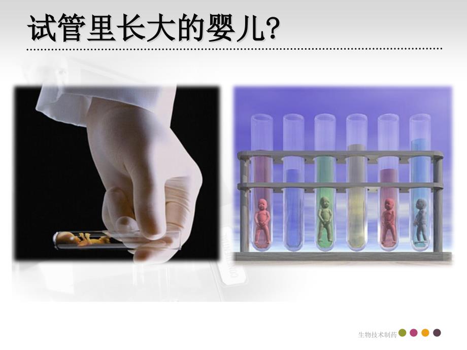 试管婴儿技术.ppt_第3页