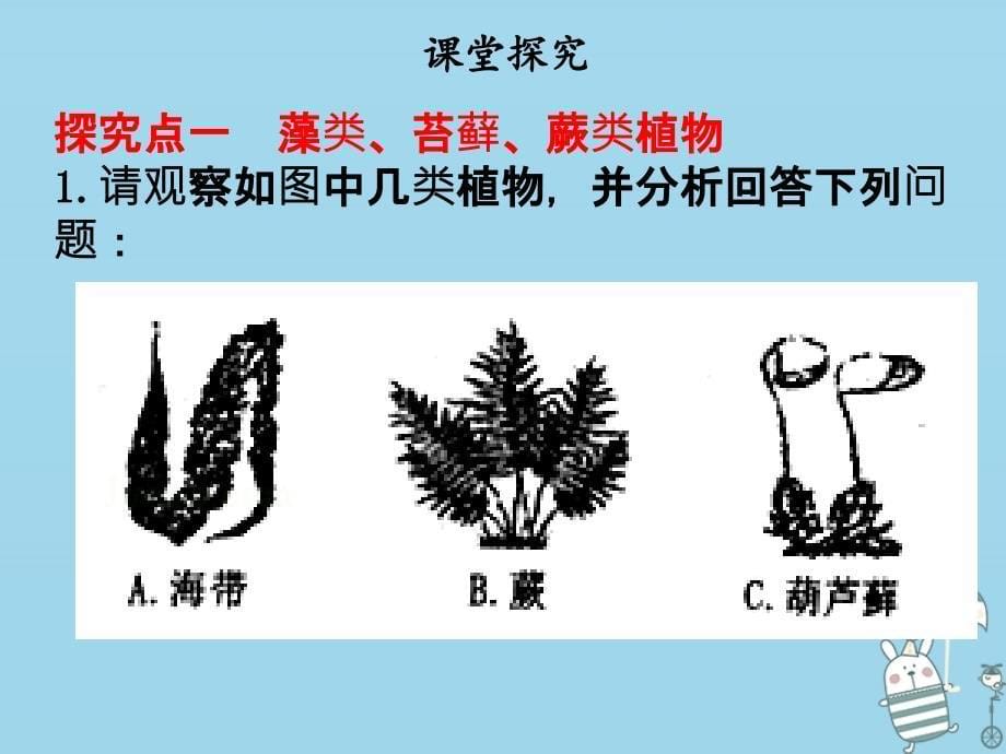 2022年七年级生物上册 第三单元 第一章 第一节 藻类、苔藓、蕨类植物优质课件 （新版）新人教版_第5页