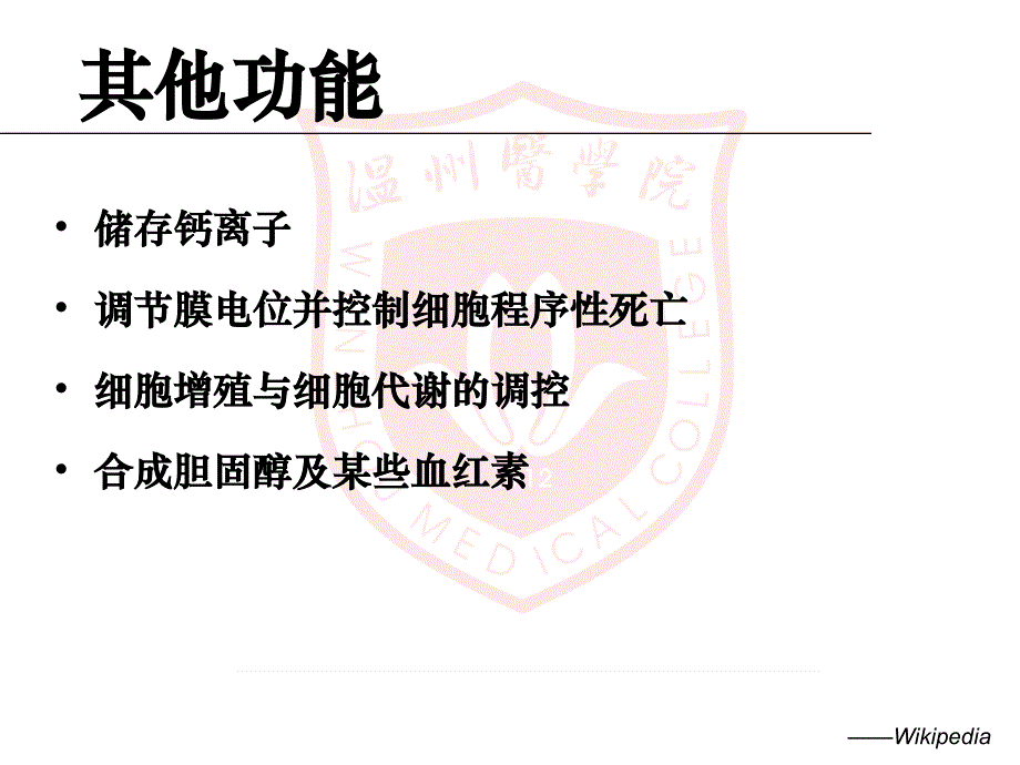 线粒体疾病的分子诊断_第4页