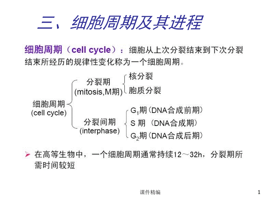 细胞分裂与细胞周期#高级课件_第1页