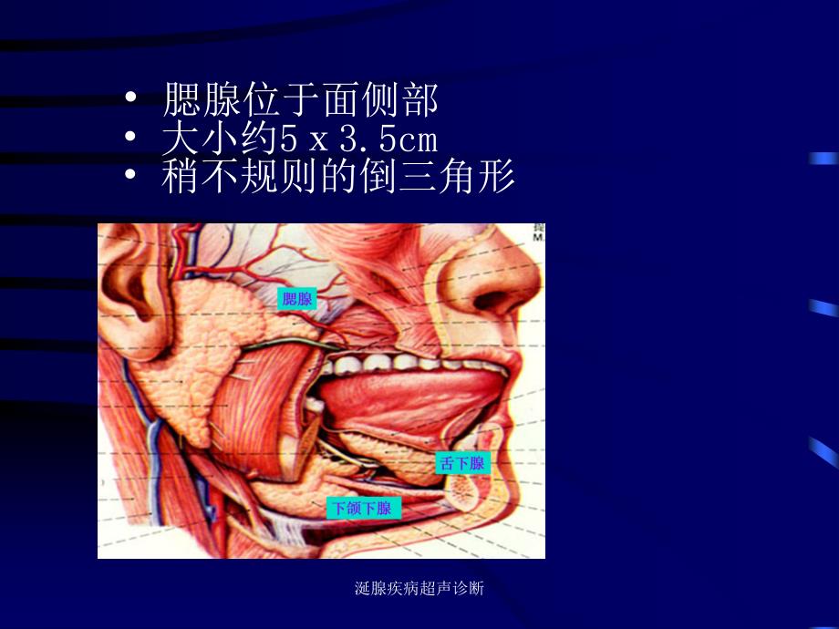 最新涎腺疾病超声诊断_第3页