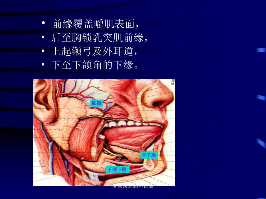 最新涎腺疾病超声诊断_第4页