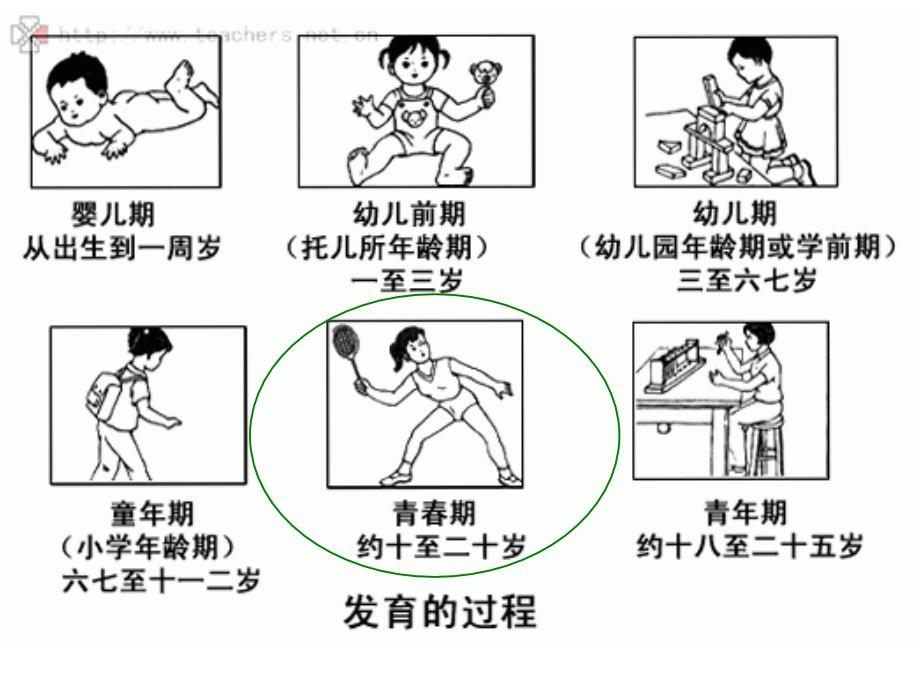 五年级下册科学课件5.3男孩和女孩2湘教版共25张PPT_第3页