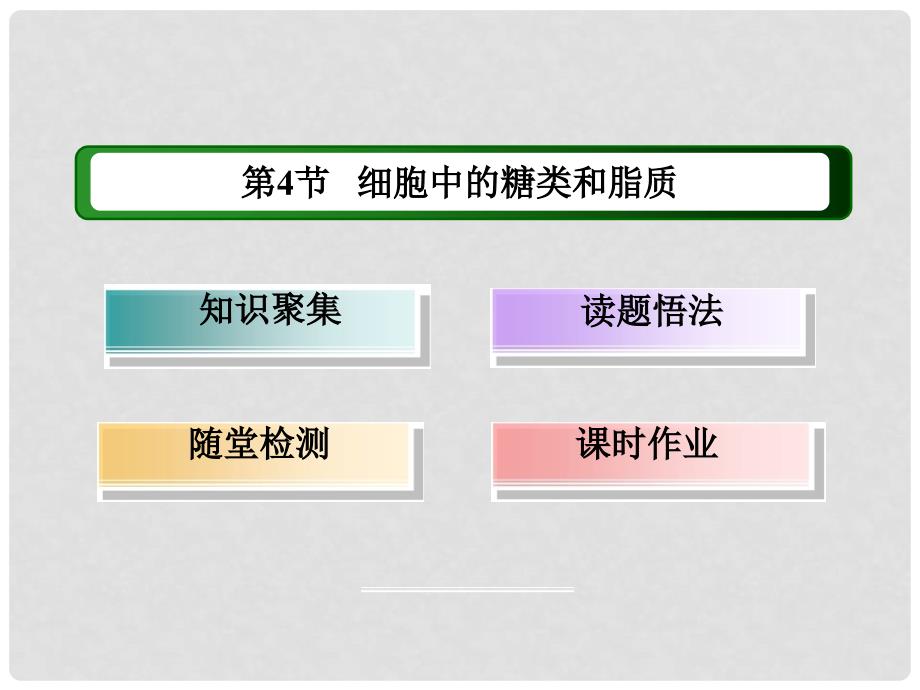 高中生物 24 细胞中的糖类和脂质讲义手册课件 新人教版必修1_第2页