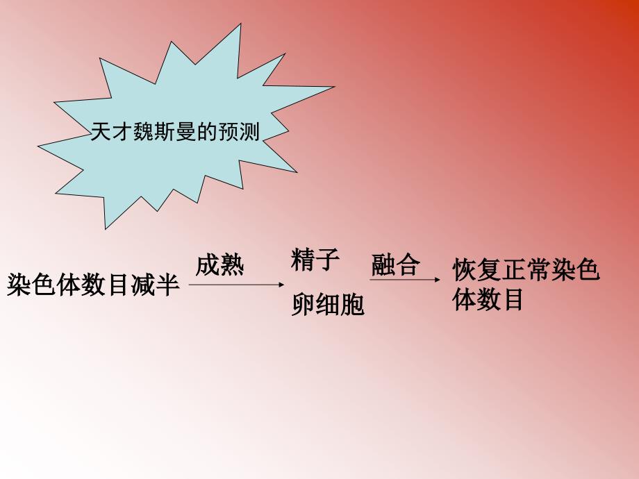 人教版教学课件云南省弥勒县庆来中学生物必修2 2.1.1减数分裂(课件)_第4页