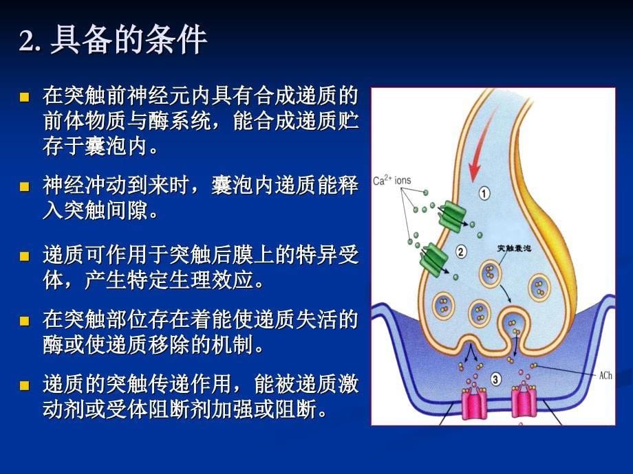 第5章 神经递质与神经肽 神经递质_第5页