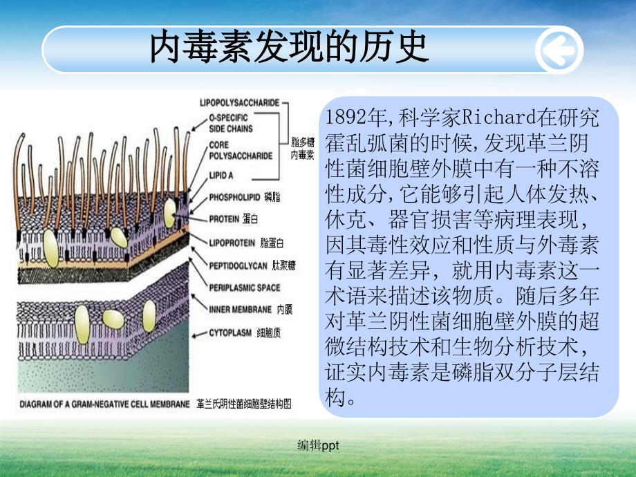 内毒素的检测及意义1_第3页