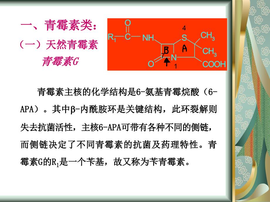 内酰胺类抗生素.ppt_第4页