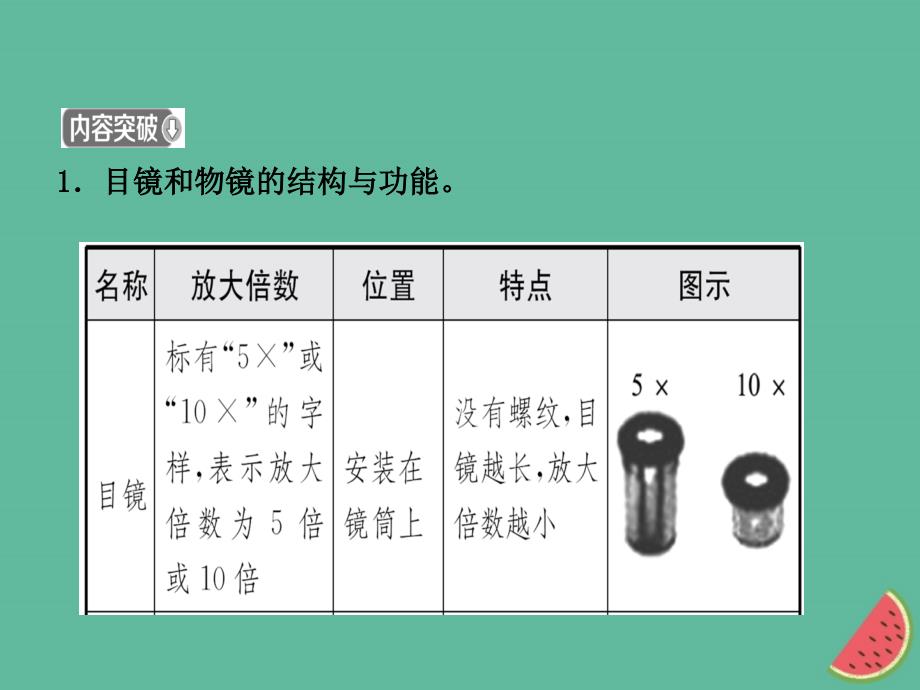 山东省淄博市2023中考生物 第二单元 第一章 第二章复习优质课件_第4页