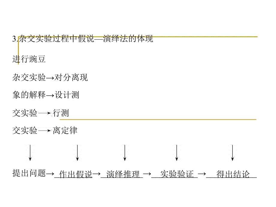 孟德尔的豌豆杂交实验一课件_第5页