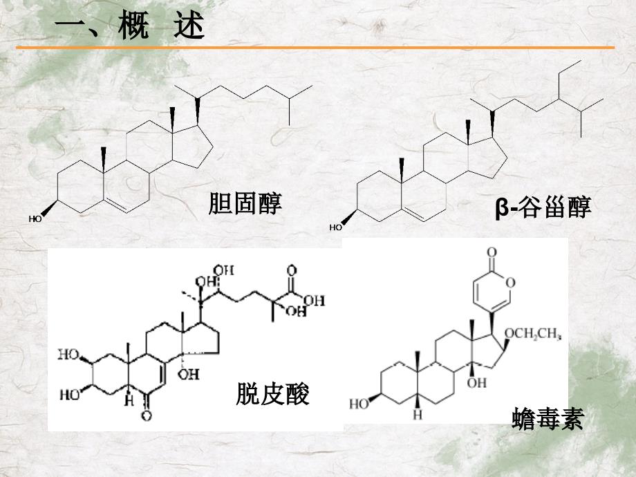 大学天然药物化学甾体和苷类_第4页