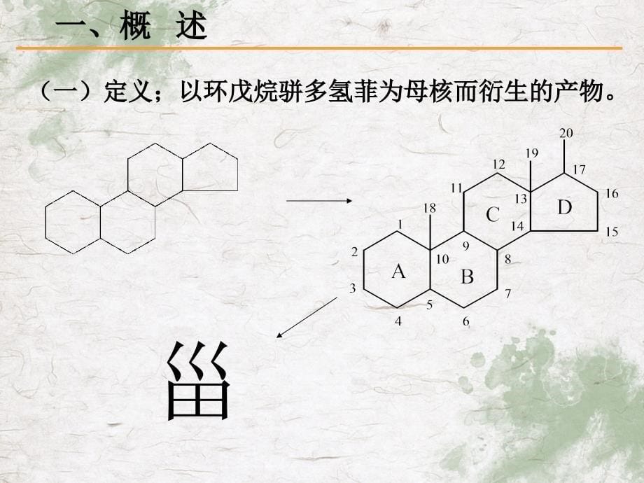 大学天然药物化学甾体和苷类_第5页