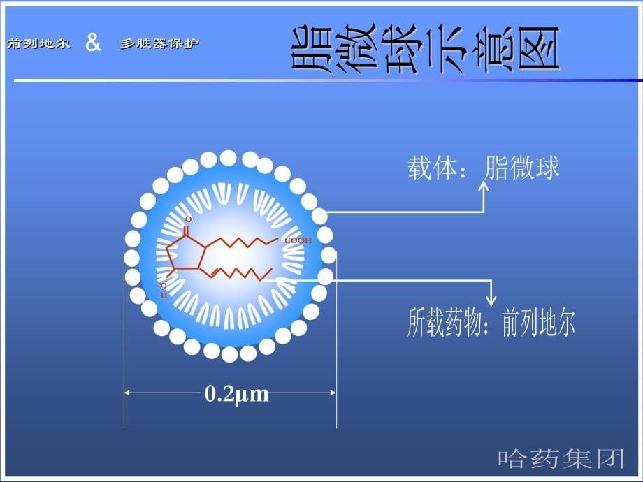 前列地尔-脏器保护ICU_第5页