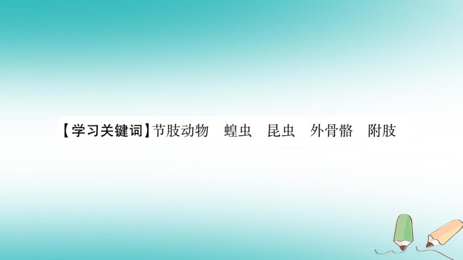 2022秋八年级生物上册 第5单元 第1章 第3节 软体动物和节肢动物第2课时习题优质课件 （新版）新人教版_第2页