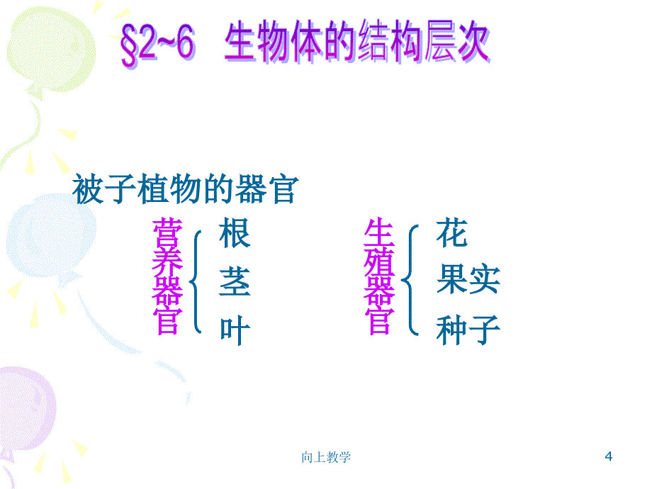 生物的结构层次竹菊书苑_第4页