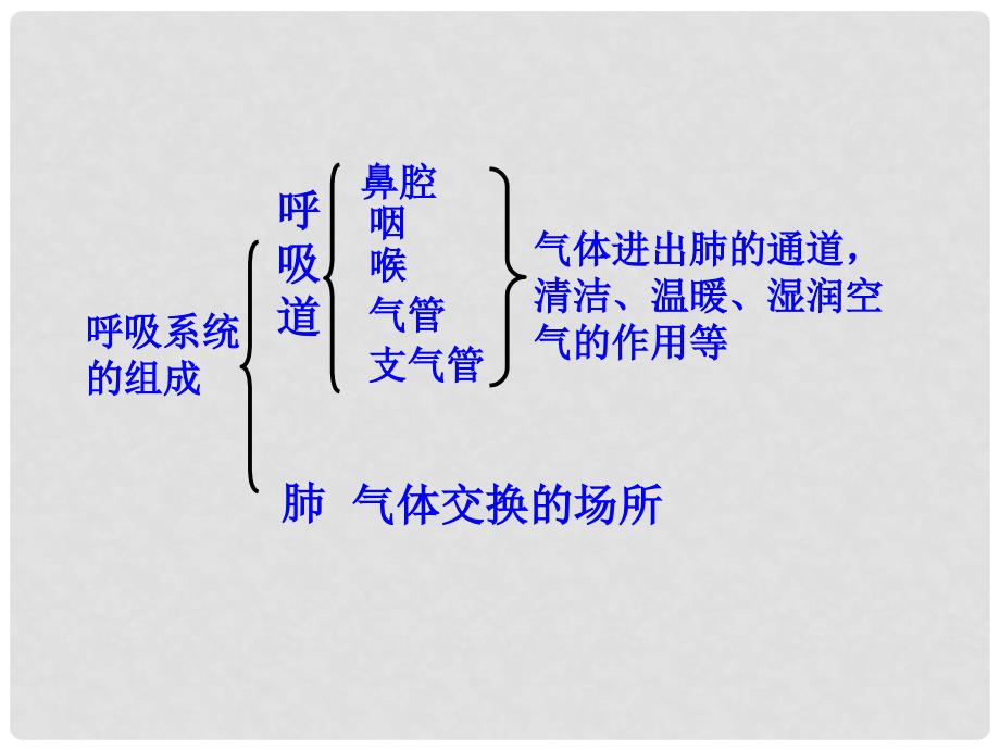 甘肃省会宁县八年级生物《人体与外界的气体交换》课件 新人教版_第3页