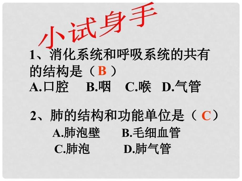 甘肃省会宁县八年级生物《人体与外界的气体交换》课件 新人教版_第5页