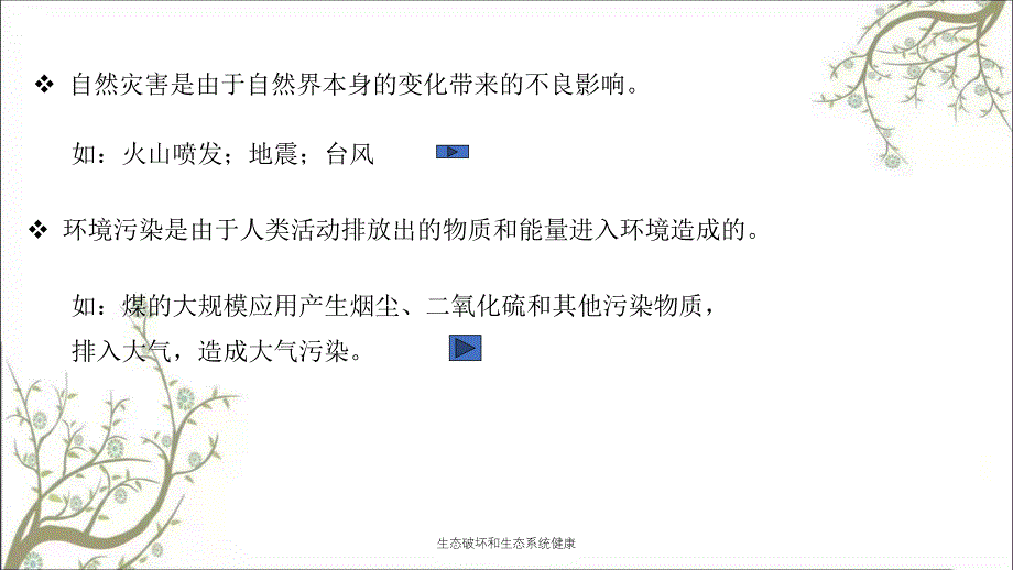 生态破坏和生态系统健康课件_第3页