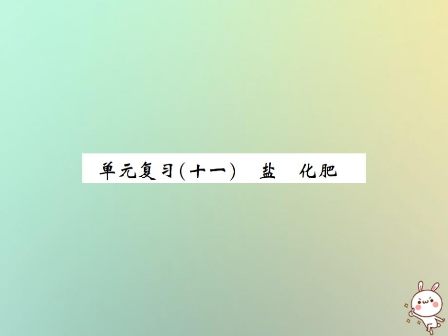 河南省2022年秋九年级化学下册 第十一单元 盐 化肥单元复习（十一）优质课件 （新版）新人教版_第1页