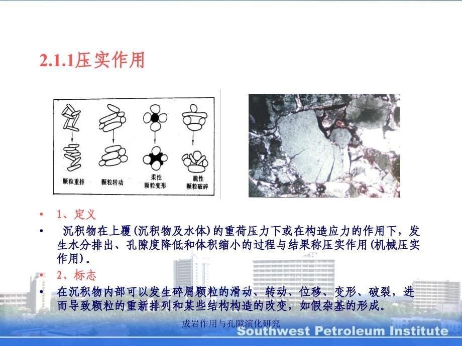 成岩作用与孔隙演化研究课件_第5页