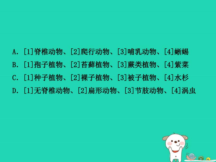 （东营专版）2023年中考生物 专题九复习优质课件_第4页