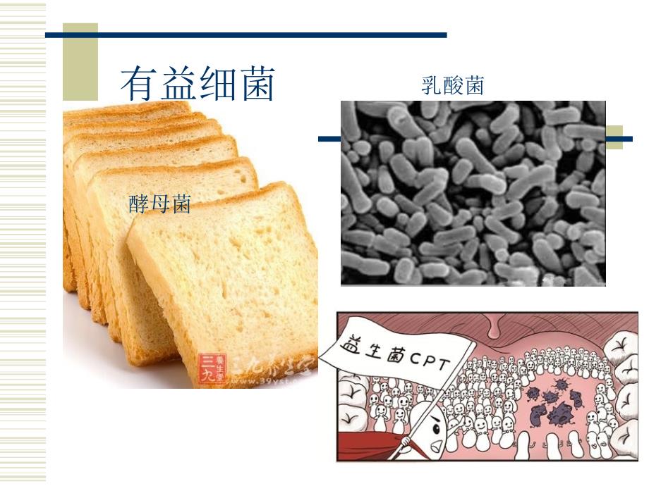 六年级上册科学课件1.2做酸奶苏教版共10张PPT_第3页