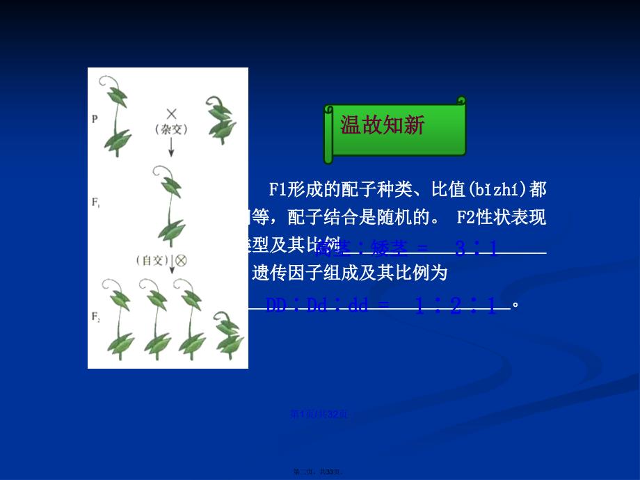 复习目标阐明孟德尔的两对相对性状的杂交实验过程以及对学习教案_第2页