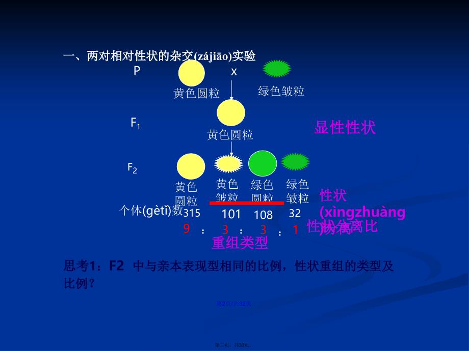 复习目标阐明孟德尔的两对相对性状的杂交实验过程以及对学习教案_第3页