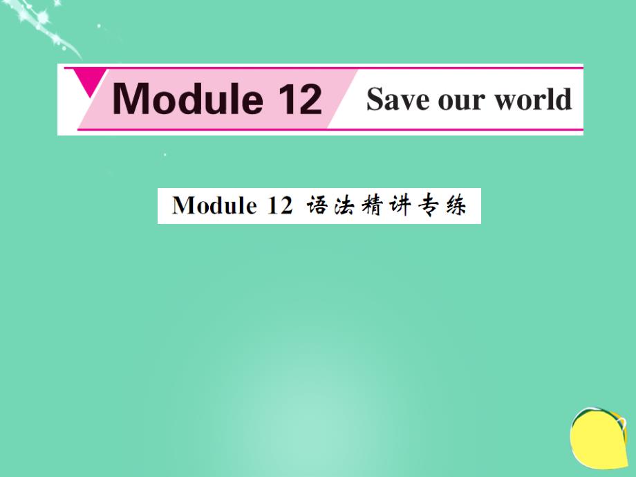 bsr2023年秋九年级英语上册 Module 12 Save our world语法精讲专练课件 （新版）外研版_第1页