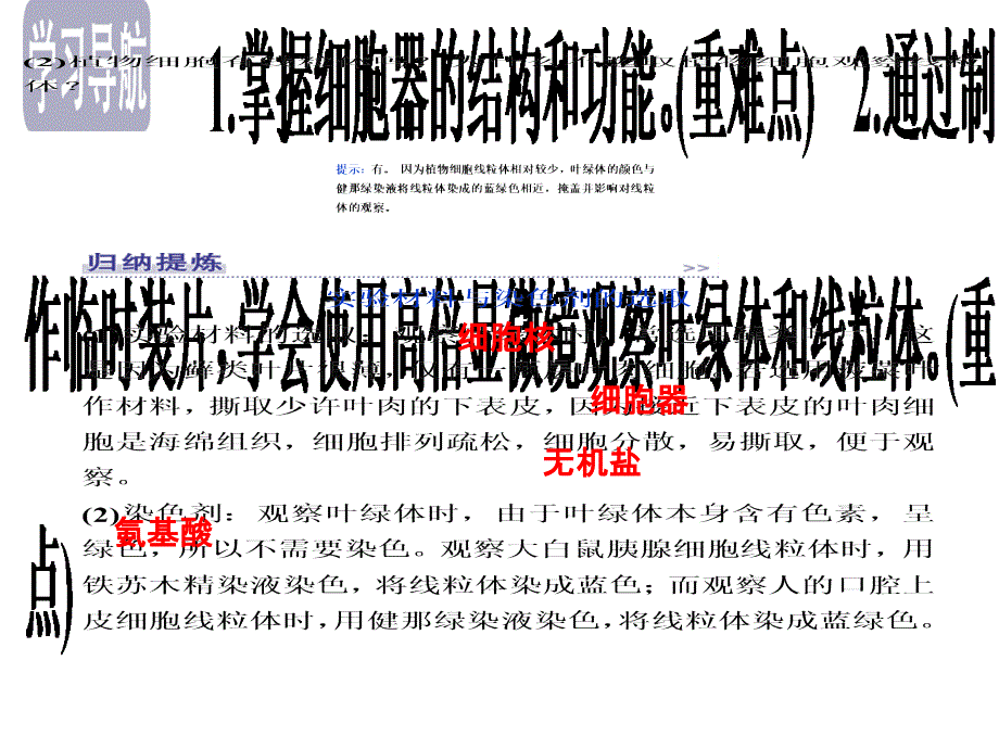 优化方案2023高中生物 第三章 细胞的结构和功能 第二节 细胞的类型和结构（第2课时）细胞质和细胞器课件 苏教版必修1_第3页