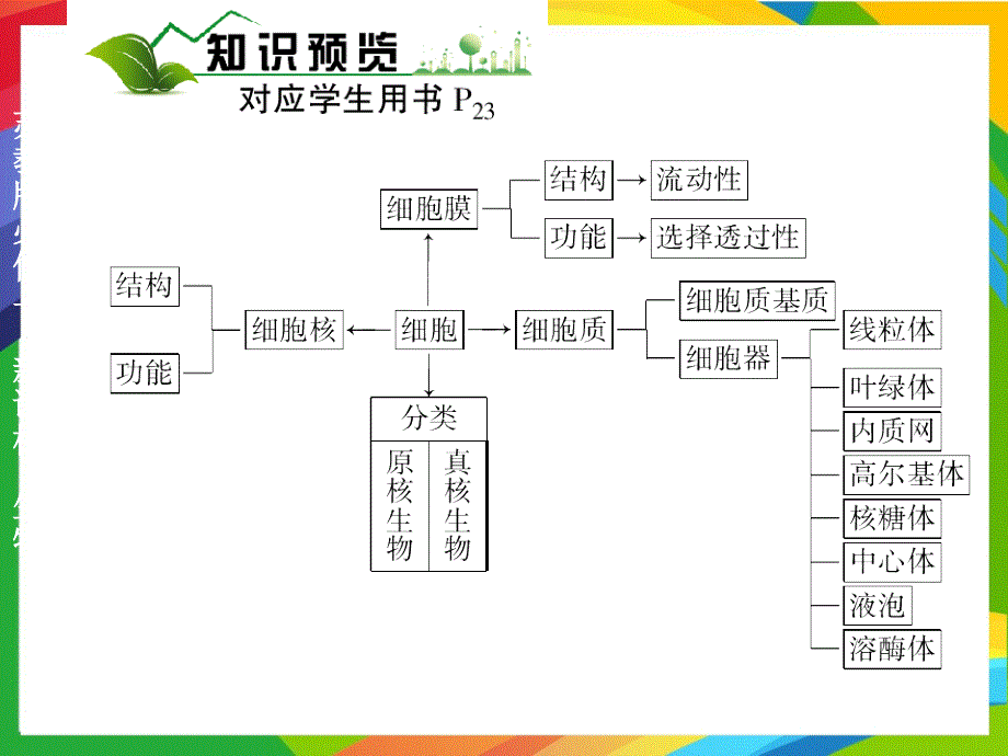 苏教版必修一新课标生物PPT课件3.1生命活动的基本单位细胞2_第3页