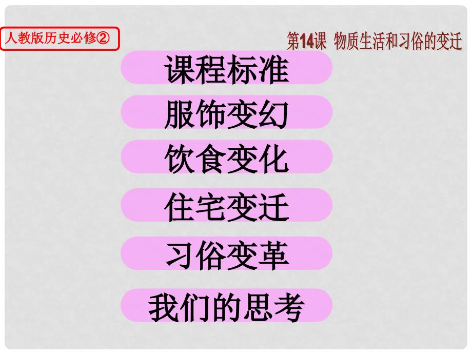 高中历史：第14课《物质生活与习俗的变迁》复习课件（新人教版必修2）_第4页