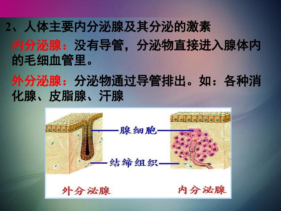 高中生物第二章动物和人体生命活动的调节22通过激素的调节1课件新人教版必修3_第4页