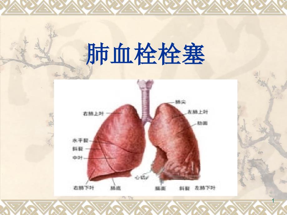 （优质课件）肺栓塞(讲课教学)_第1页