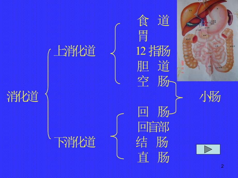 下消化道大出血ppt课件_第2页