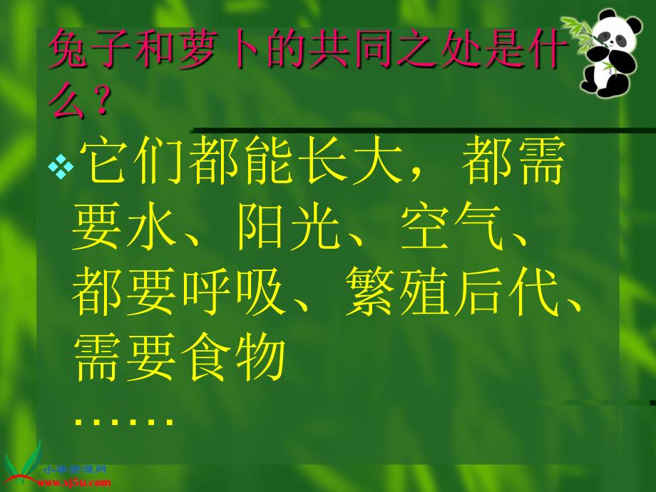 小学科学三年级上册动物植物人苏教版PPT课件_第4页