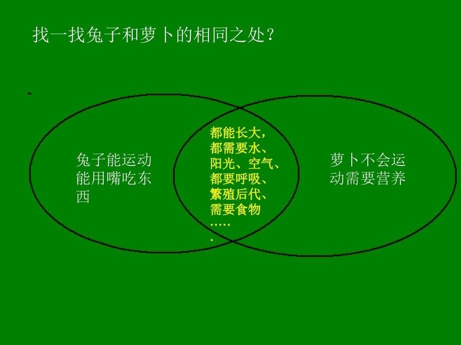 小学科学三年级上册动物植物人苏教版PPT课件_第5页