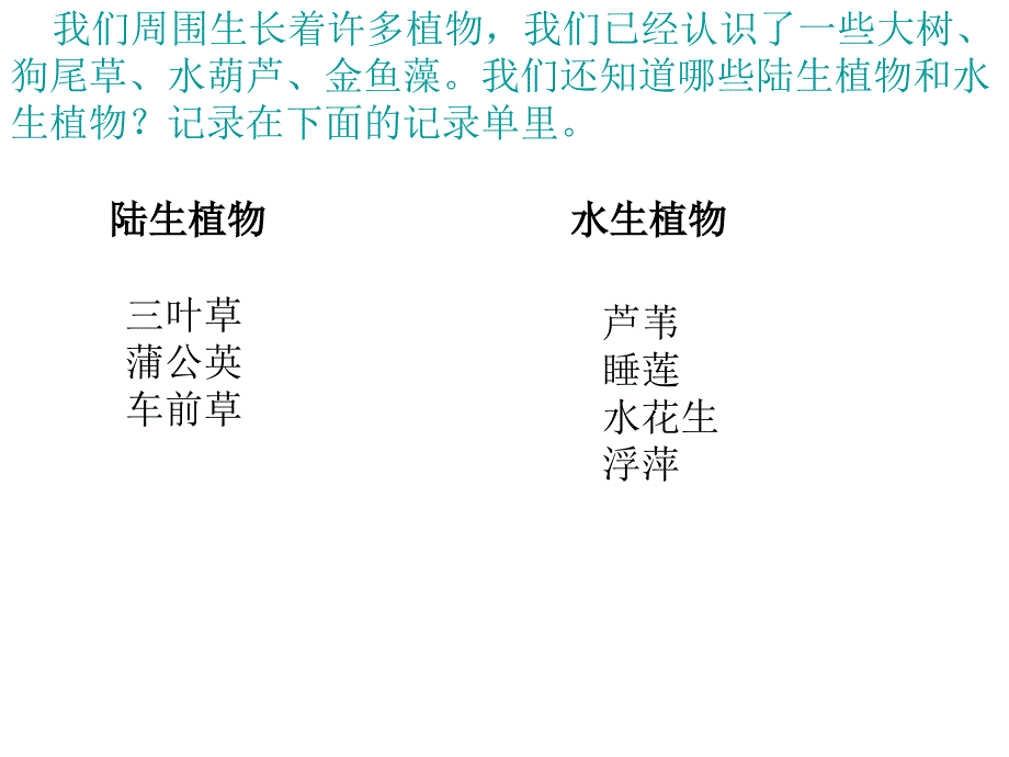 一7植物有哪些相同特点_第2页