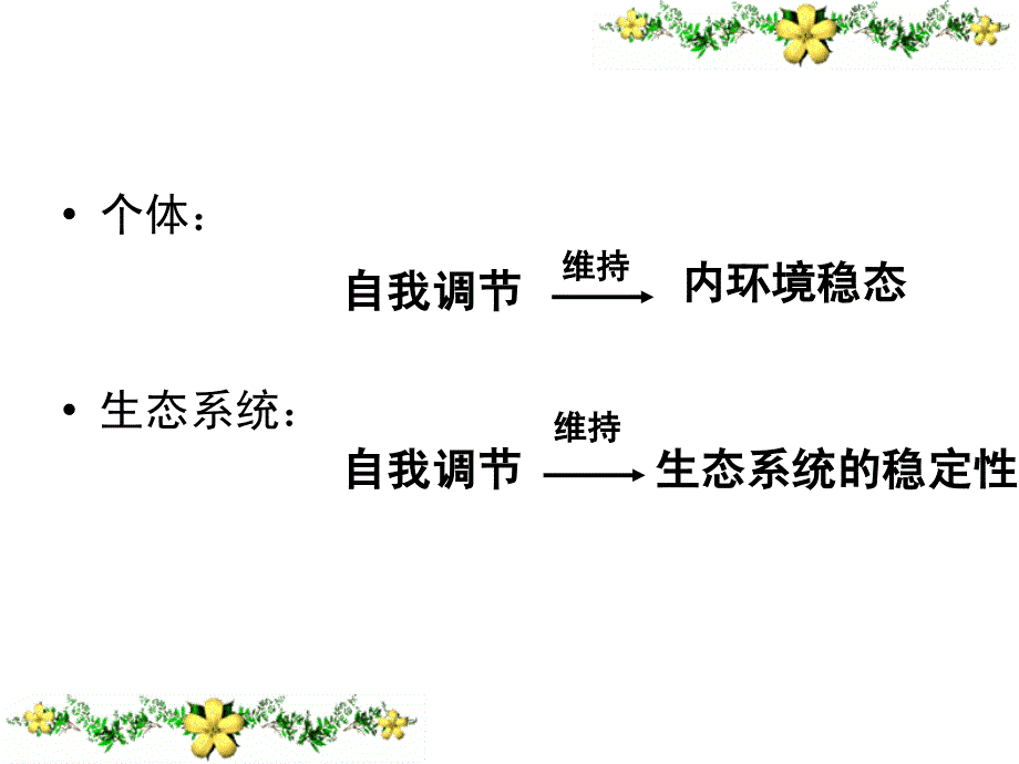 5生态系统的稳定性1_第2页