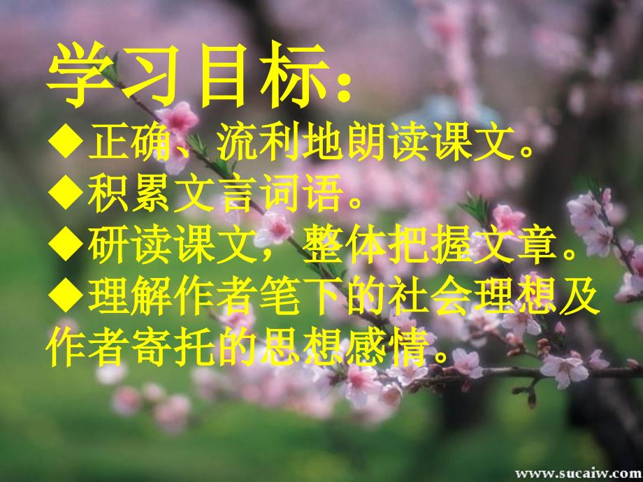 九年级语文 桃花源记 教案+课件苏教版桃花源记_第4页