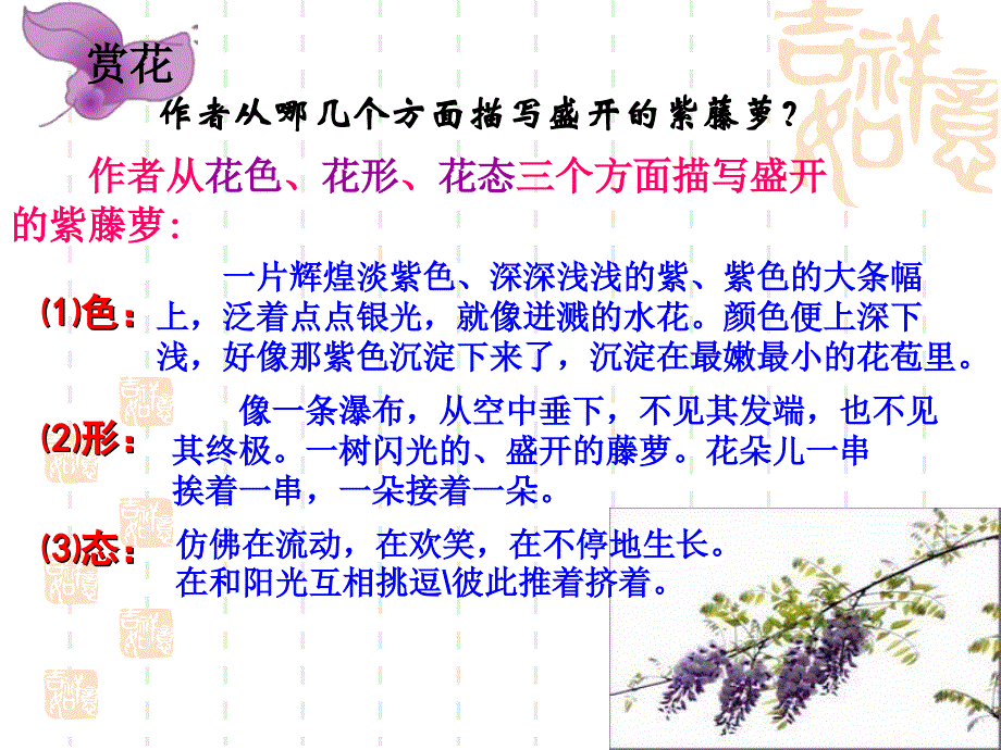 《紫藤萝瀑布》PPT课件.ppt_第2页