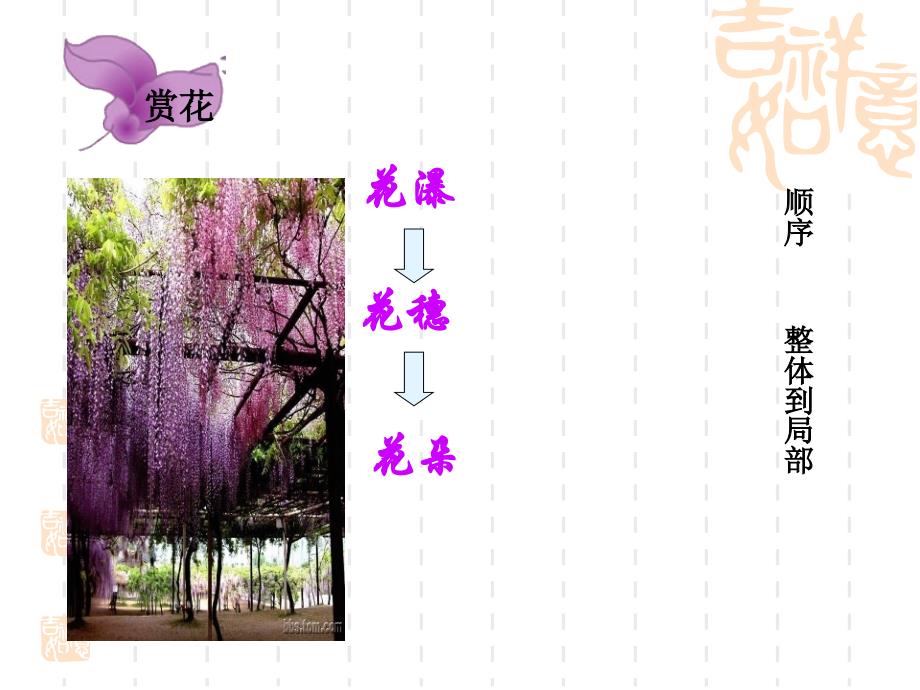 《紫藤萝瀑布》PPT课件.ppt_第3页