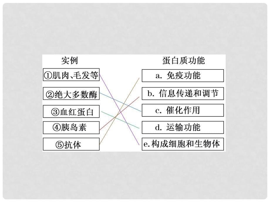 高考生物一轮复习 高频考点通关讲练 第1单元 第3讲 生命活动的主要承担者 蛋白质课件 新人教版必修1_第5页