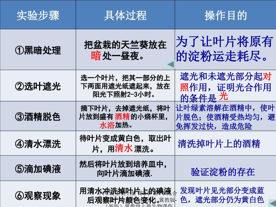 最新八年级生物上册第3章第1节光合作用的产物_第4页