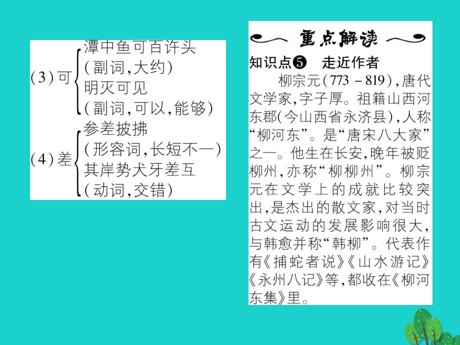 lwv2023年秋八年级语文上册 第四单元 16《小石潭记》课件 （新版）苏教版_第4页