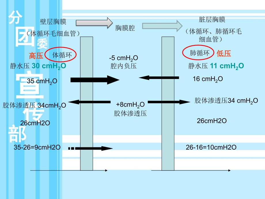 胸腔积液鉴别诊断PPT课件02_第3页